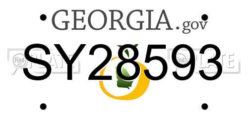 SY28593 Georgia License Plate