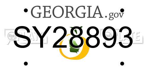 SY28893 Georgia License Plate