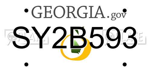 SY2B593 Georgia License Plate