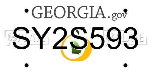 SY2S593 Georgia License Plate