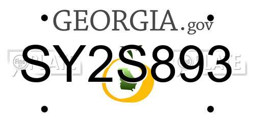 SY2S893 Georgia License Plate