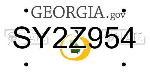 SY2Z954 Georgia License Plate