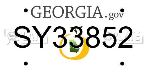 SY33852 Georgia License Plate