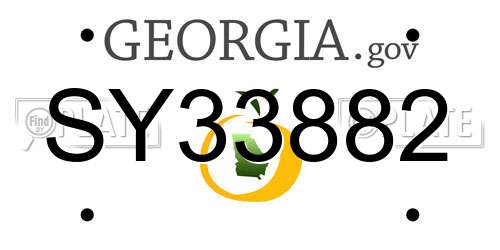 SY33882 Georgia License Plate