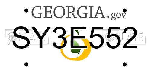 SY3E552 Georgia License Plate
