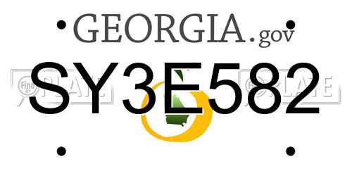 SY3E582 Georgia License Plate