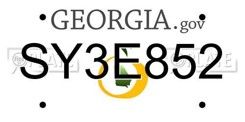 SY3E852 Georgia License Plate