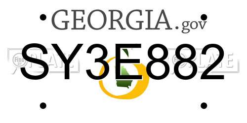 SY3E882 Georgia License Plate