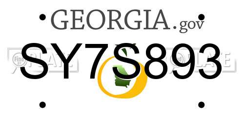 SY7S893 Georgia License Plate
