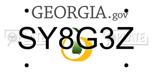SY8G3Z Georgia License Plate