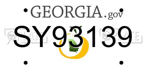 SY93139 Georgia License Plate