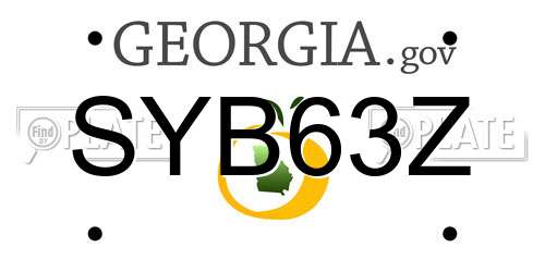 SYB63Z Georgia License Plate