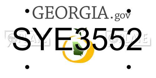SYE3552 Georgia License Plate