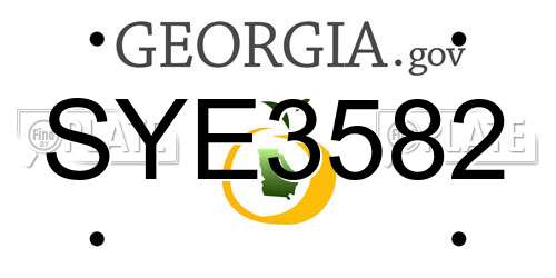 SYE3582 Georgia License Plate