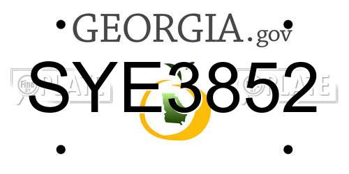 SYE3852 Georgia License Plate
