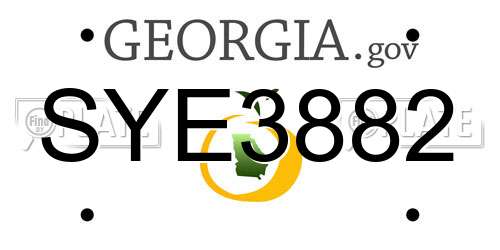 SYE3882 Georgia License Plate