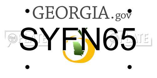 SYFN65 Georgia License Plate