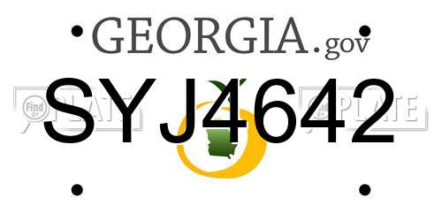 SYJ4642 Georgia License Plate