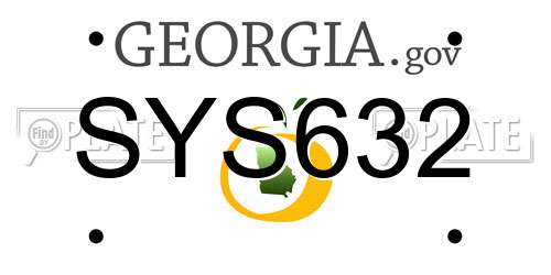 SYS632 Georgia License Plate