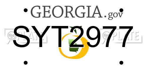 SYT2977 Georgia License Plate