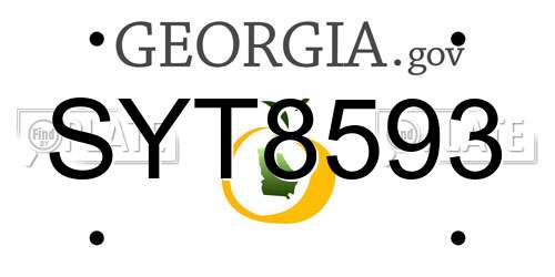 SYT8593 Georgia License Plate