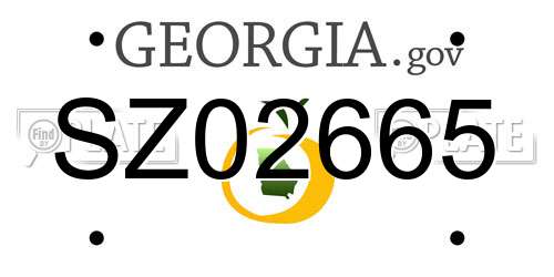 SZ02665 Georgia License Plate