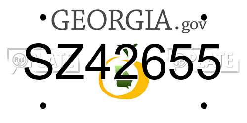 SZ42655 Georgia License Plate