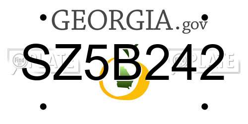 SZ5B242 Georgia License Plate
