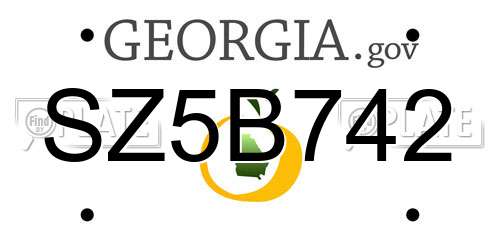 SZ5B742 Georgia License Plate