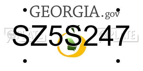 SZ5S247 Georgia License Plate