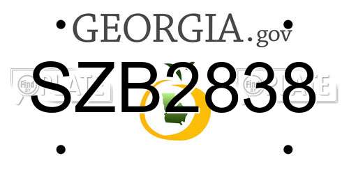 SZB2838 Georgia License Plate