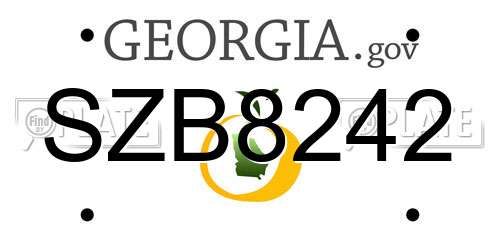 SZB8242 Georgia License Plate