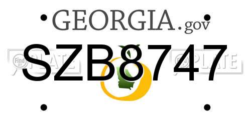 SZB8747 Georgia License Plate