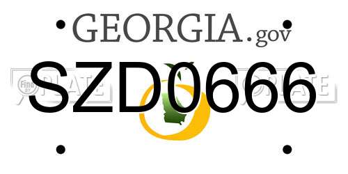SZD0666 Georgia License Plate