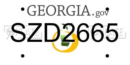 SZD2665 Georgia License Plate