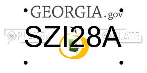 SZI28A Georgia License Plate