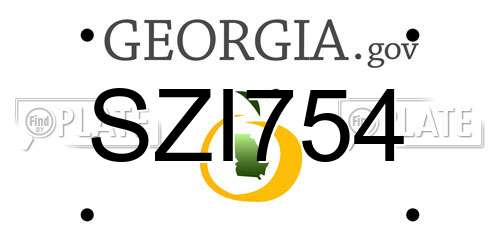 SZI754 Georgia License Plate