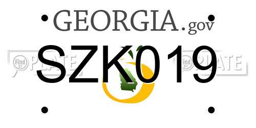 SZK019 Georgia License Plate