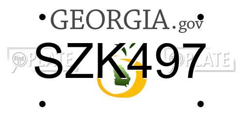 SZK497 Georgia License Plate