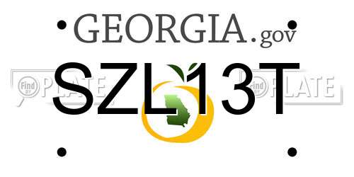 SZL13T Georgia License Plate
