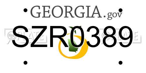SZR0389 Georgia License Plate