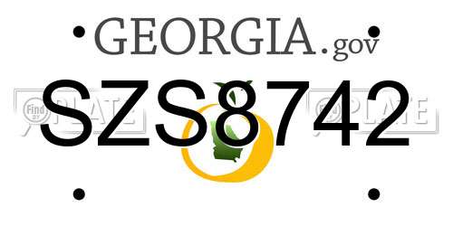 SZS8742 Georgia License Plate