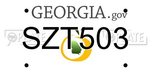 SZT503 Georgia License Plate