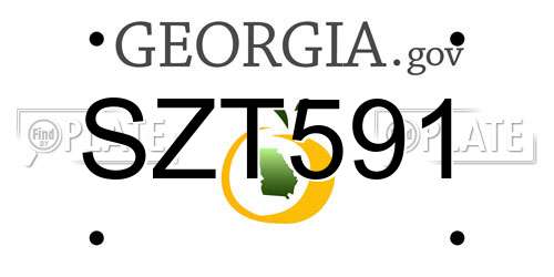 SZT591 Georgia License Plate