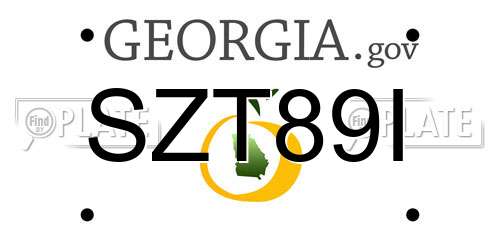 SZT89I Georgia License Plate