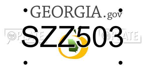 SZZ503 Georgia License Plate