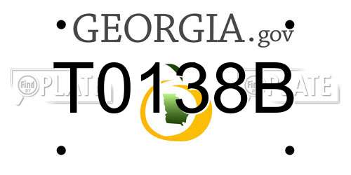 T0138B Georgia License Plate