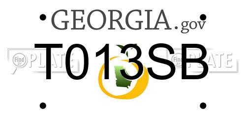 T013SB Georgia License Plate