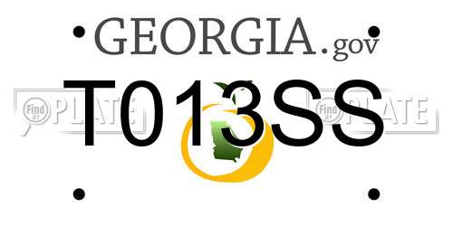 T013SS Georgia License Plate