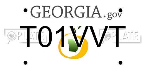 T01VVT Georgia License Plate